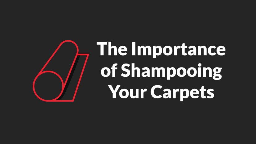 The Importance of Shampooing Your Carpets