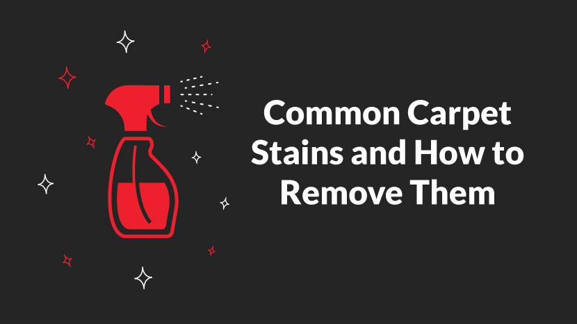 How to remove stains in your carpet