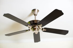 Dust hides on your fans in your home