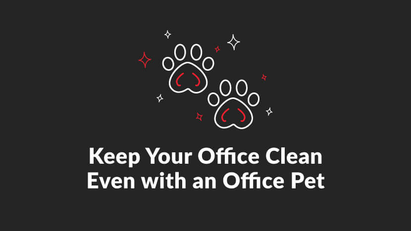 Keep your office clean even with an office pet