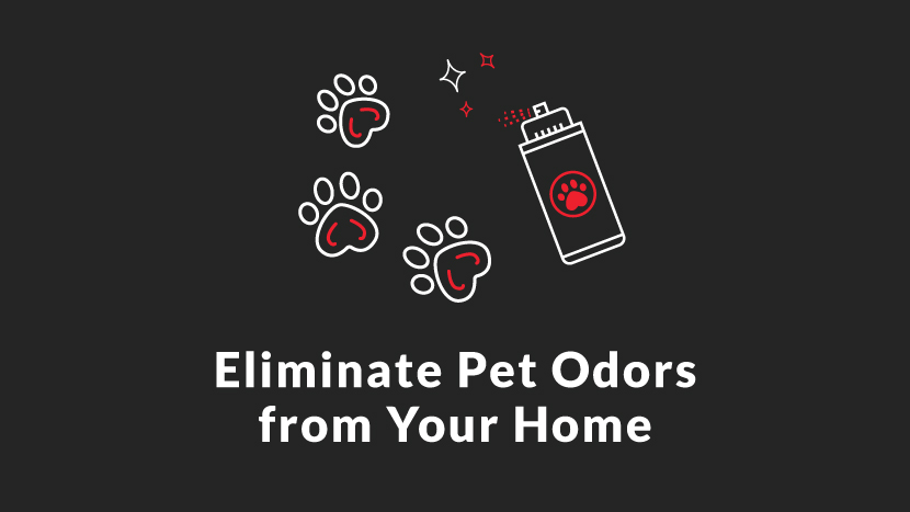 Eliminate pet odors from your home
