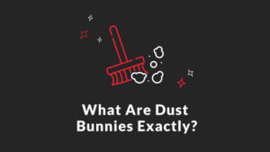 What are Dust Bunnies Exactly?
